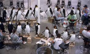 Creating A Penguin Army - Behind the Scenes photos